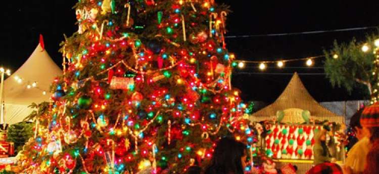 Christmas Festival